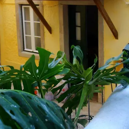 Casas Do Patio Sem Cantigas 4