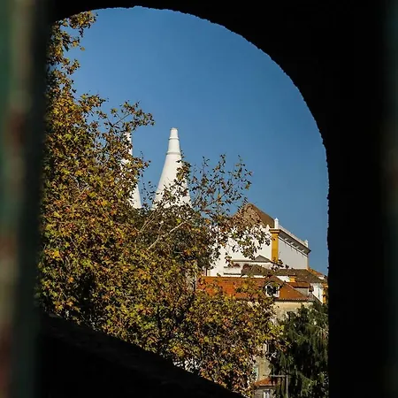 Casas Do Patio Sem Cantigas 4 דירה