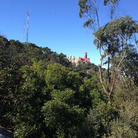 Casas Do Patio Sem Cantigas 4