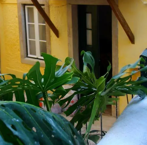 Casas Do Patio Sem Cantigas 4